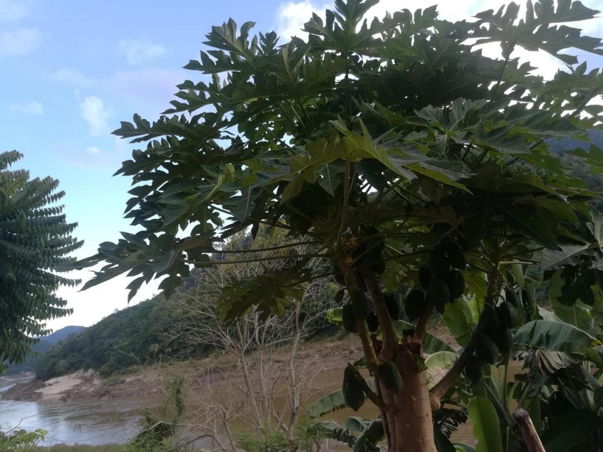Mekong Backpackers Pakbeng Muang Pakbèng Exterior foto